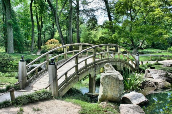 bridge park garden japanese garden 53769