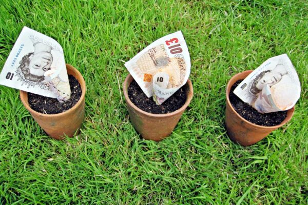 £10 British Pounds in plant pots